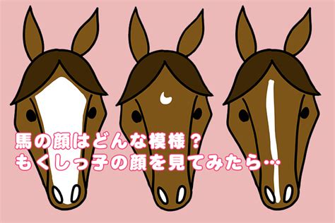 馬星|【今さら聞けない競馬学】流星など、馬の顔の模様にはどんな種。